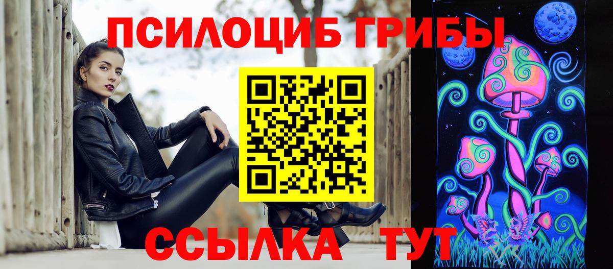 Псилоцибиновые грибы GOLDEN TEACHER Братск