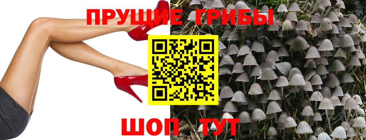 Братск  Галлюциногенные грибы Psilocybe  Вход с VPN 